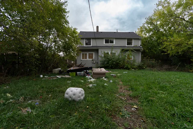 a backyard of a house with plants and large tree