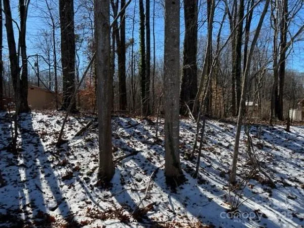 a view of a backyard of the house