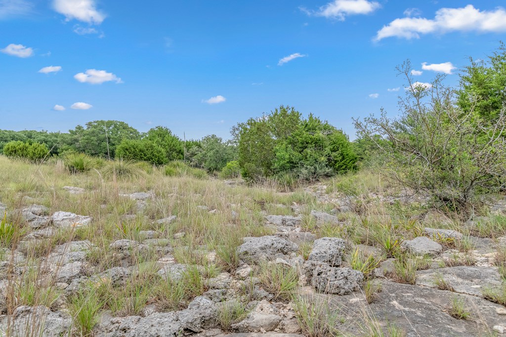 41 Rocksprings Tx 78880 Rocksprings, TX 78880 - Photo 21 of 62