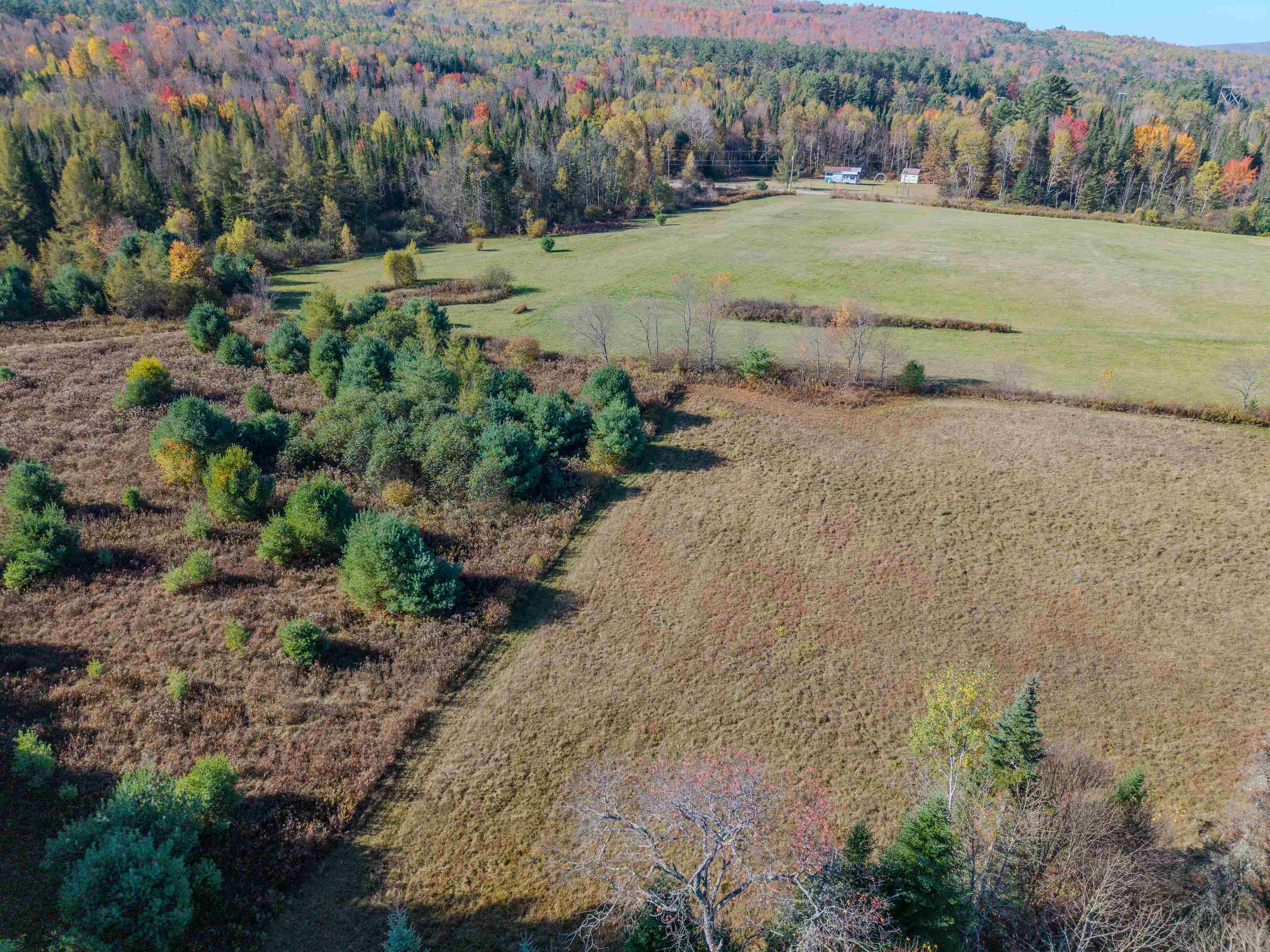 Lot 10 Landry Road Dalton, NH 03598 - Photo 28 of 28