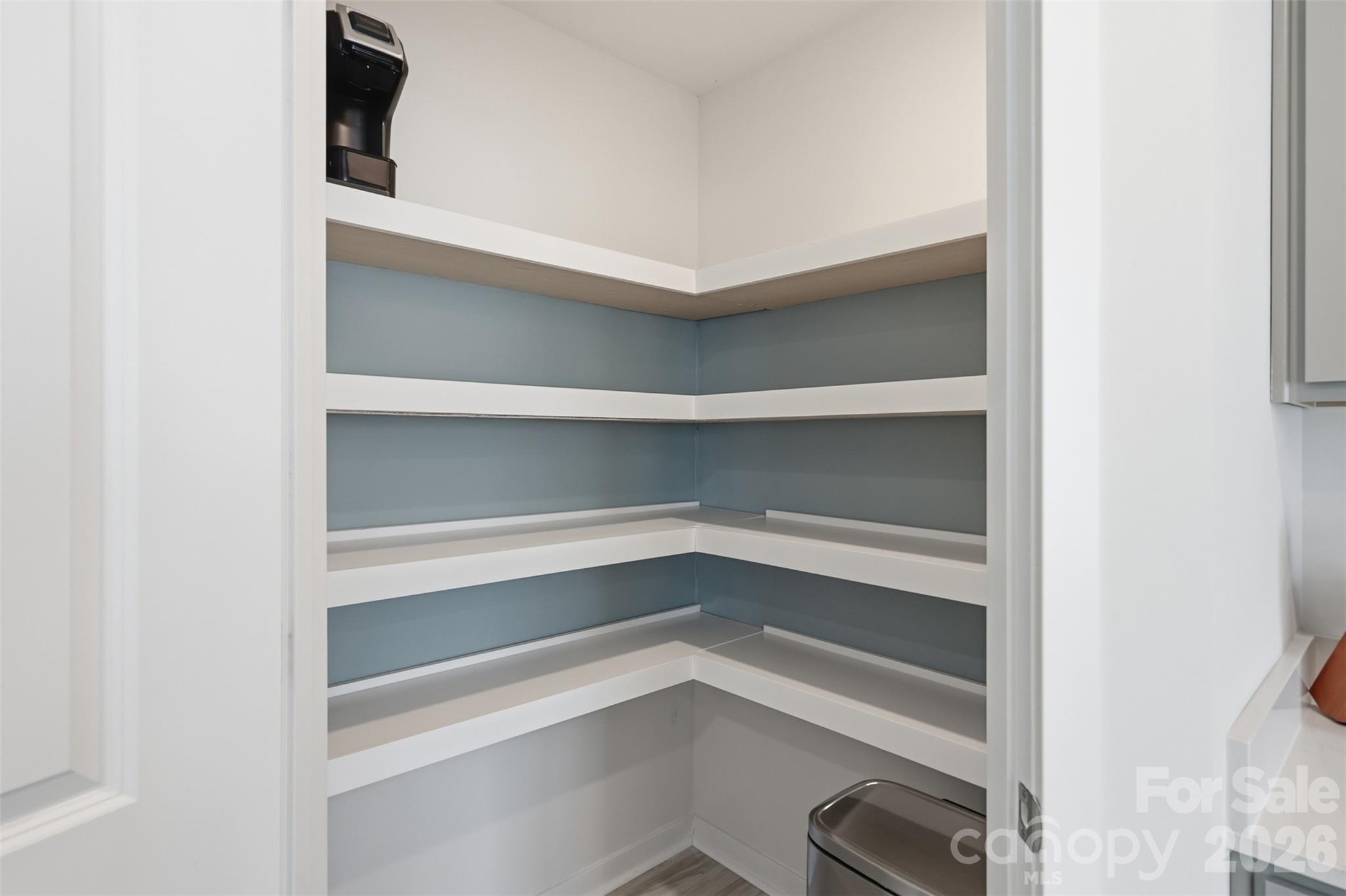 586 North Sparkleberry Street Chester, SC 29706 - Photo 7 of 36 a view of walk in closet with empty racks