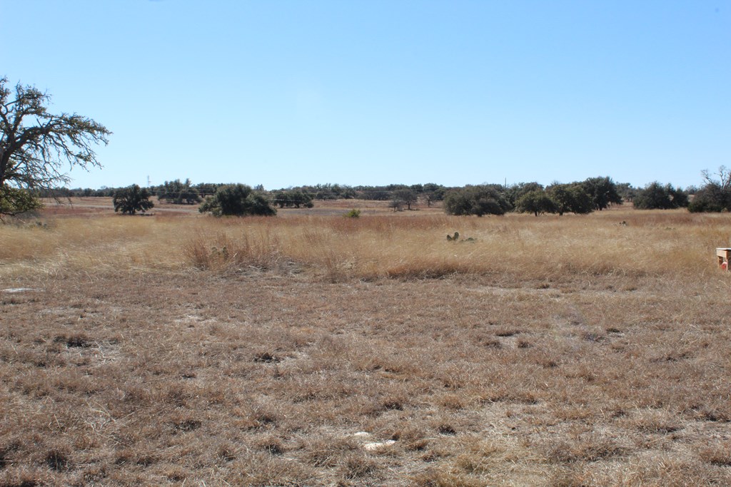 184 Lipan Loop Harper, TX 78631 - Photo 5 of 7
