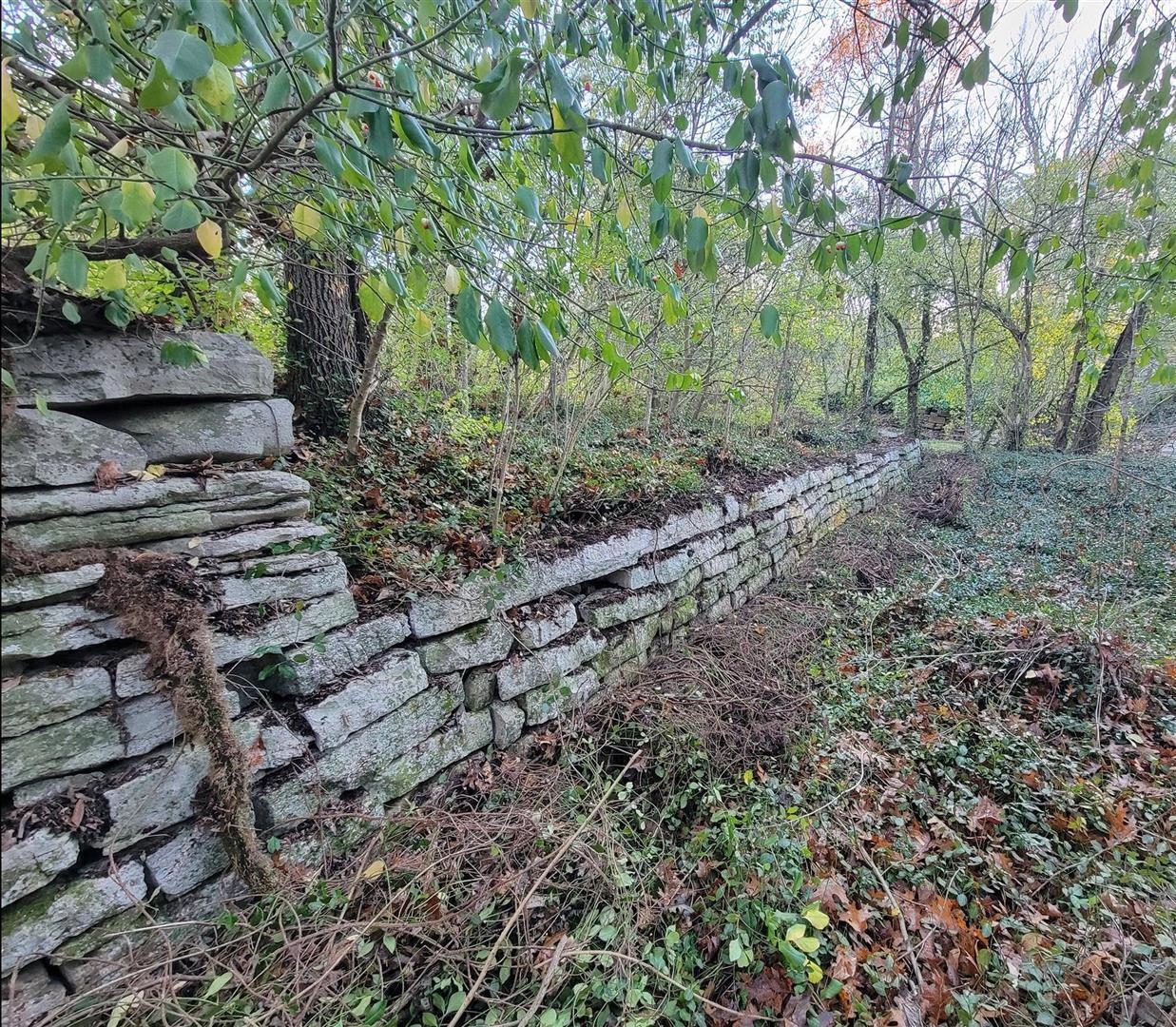 987 Pauls Mill Road Versailles, KY 40383 - Photo 5 of 20 Old stone walls