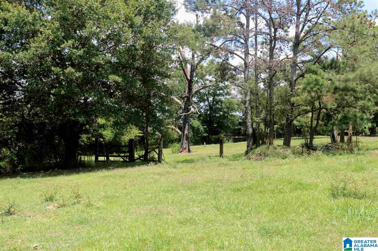 755 Back Bone Road Blountsville, AL 35031 - Photo 31 of 39