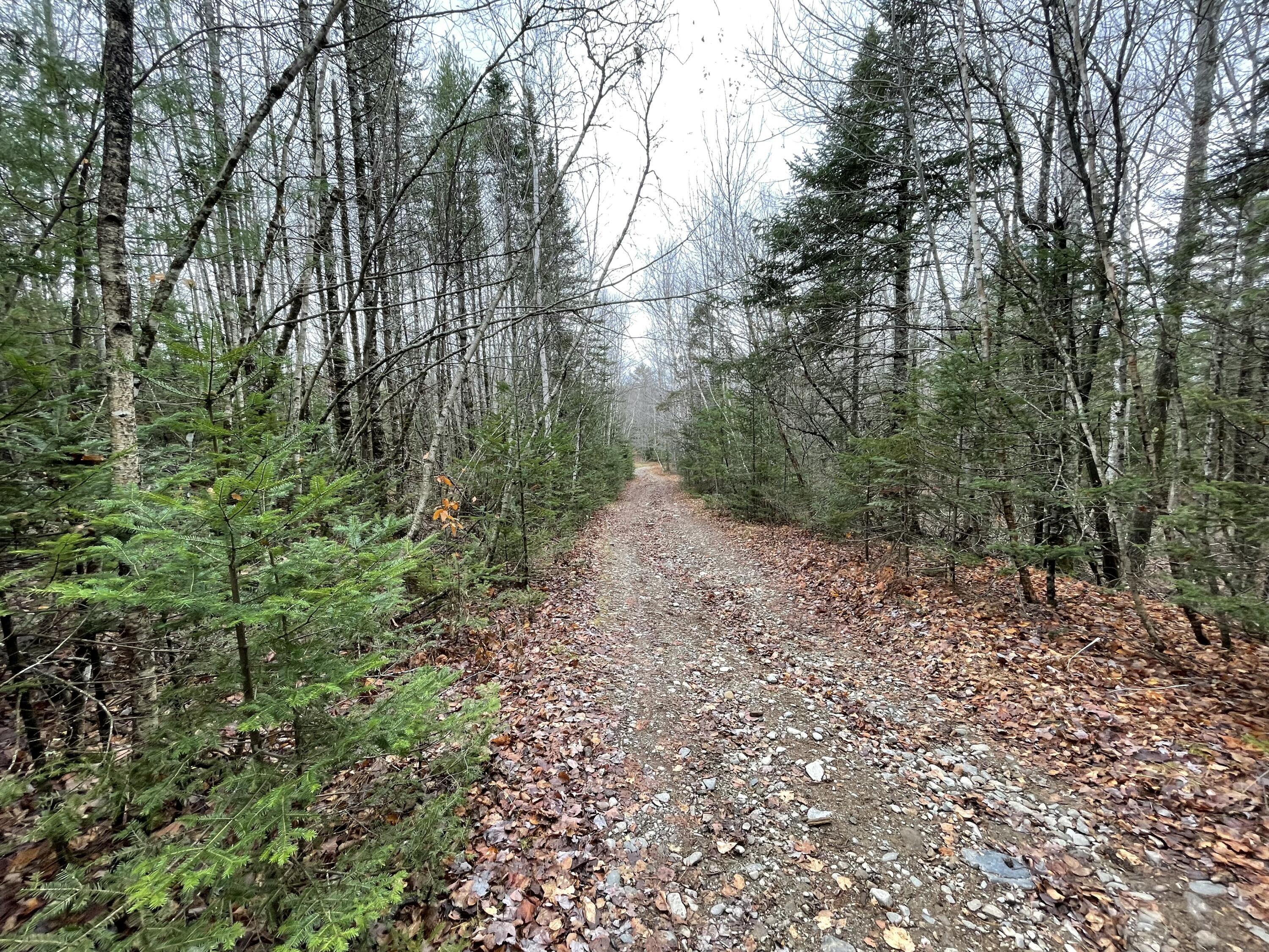 194 East Gulch Road Thorndike, ME 04986 - Photo 13 of 19 194 Gulch Road