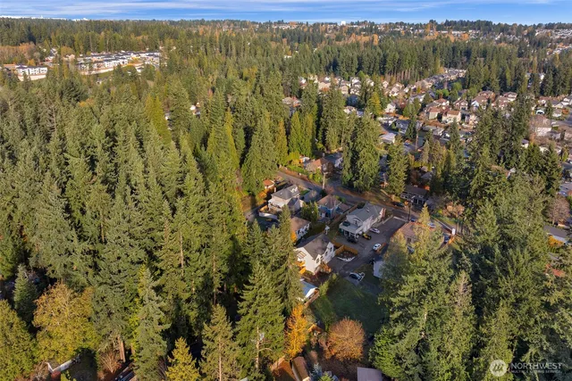 a view of a city with lush green forest