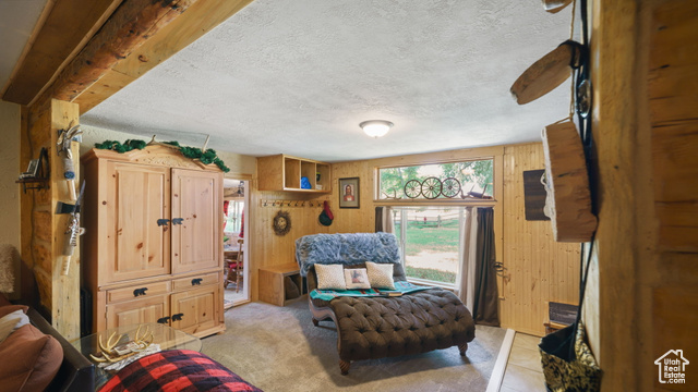 180 North State Street Sigurd, UT 84657 - Photo 24 of 32 Sitting room with wood walls and a textured ceiling