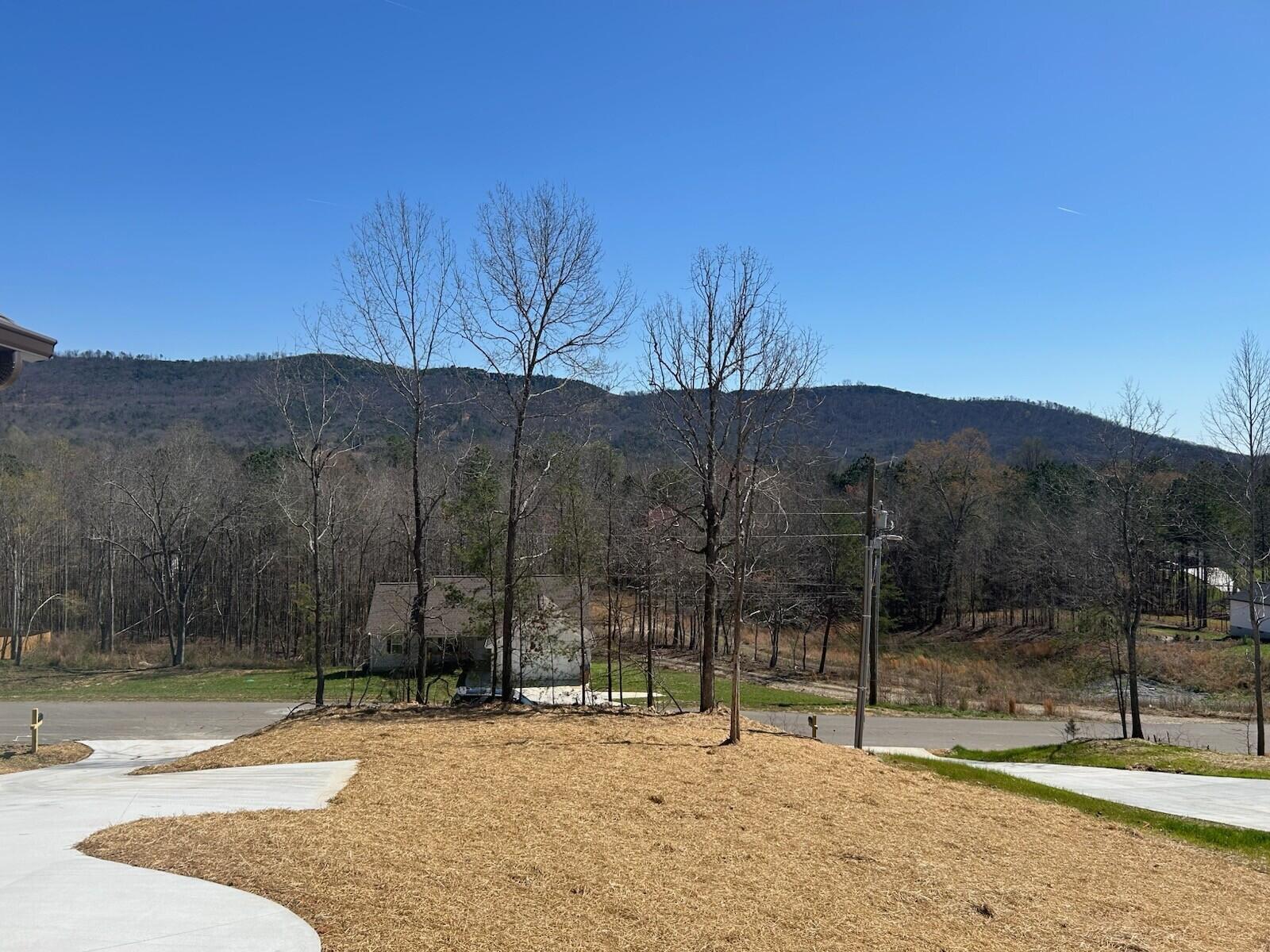825 Bridges Road Tunnel Hill, GA 30755 - Photo 9 of 9 825 view