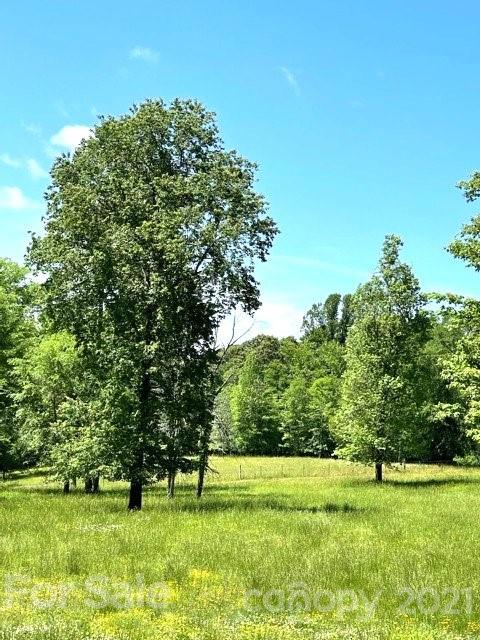 369 Cedar Grove Road Clover, SC 29710 - Photo 18 of 32 a grassy field with trees in the background