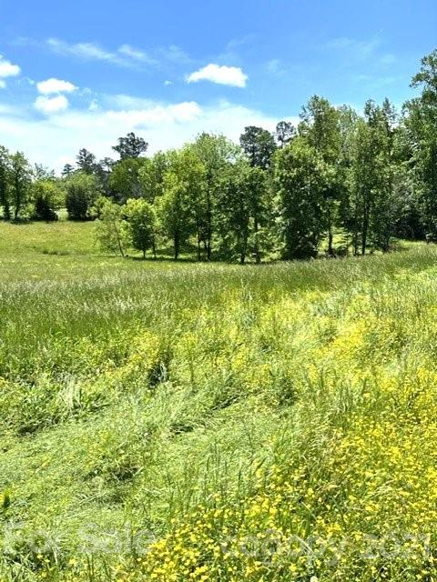 369 Cedar Grove Road Clover, SC 29710 - Photo 7 of 32 a view of a yard with a tree