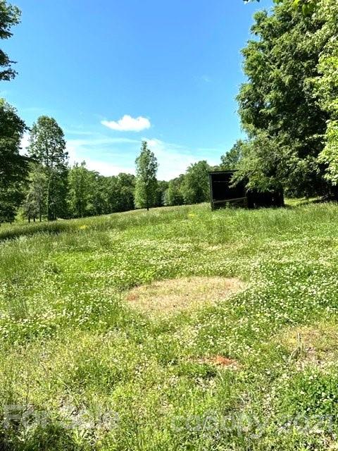 369 Cedar Grove Road Clover, SC 29710 - Photo 10 of 32 a view of field with trees in the background