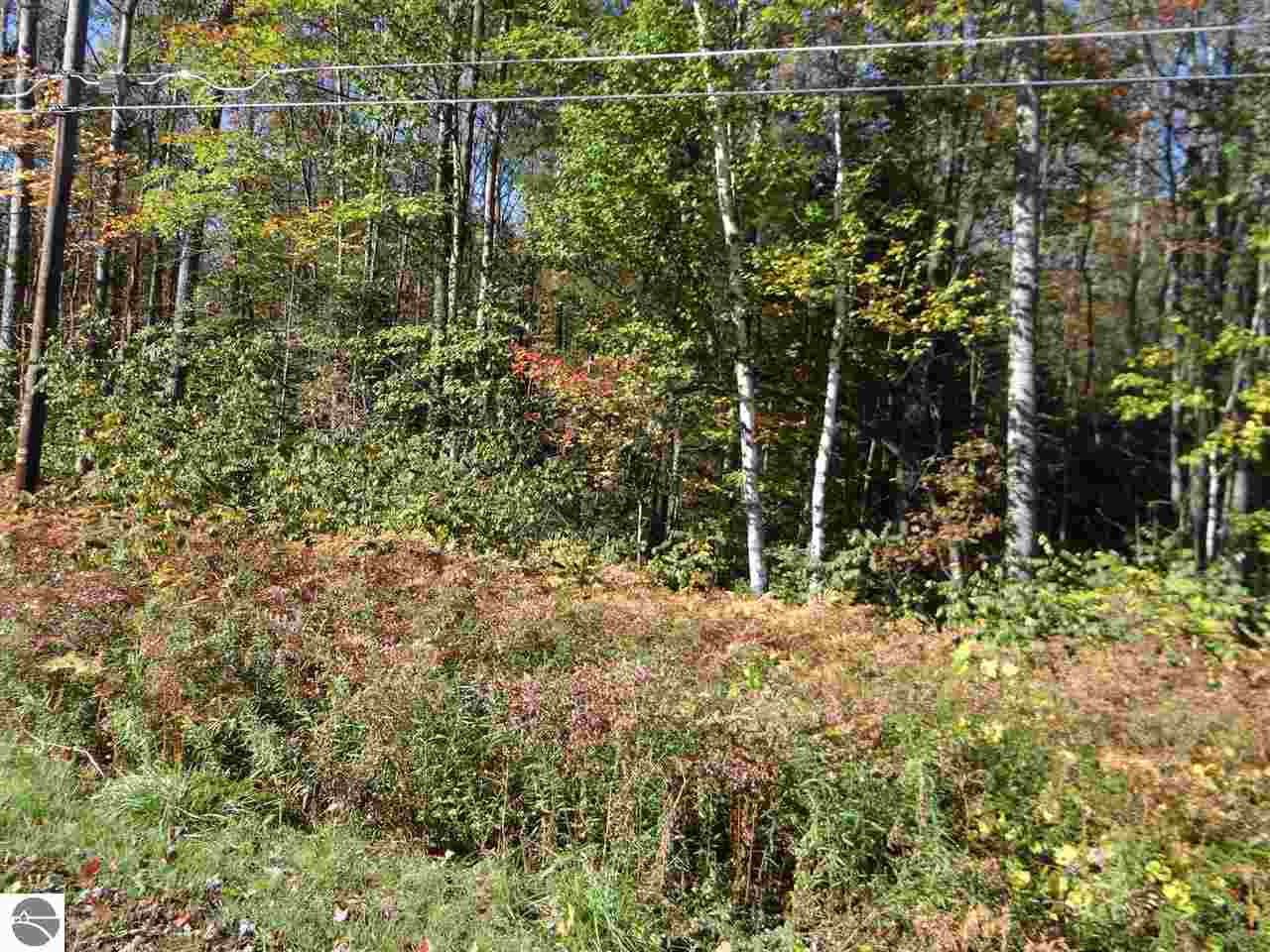 0 Scenic Road, Unit 22 & 23 Alger, MI 48610 - Photo 4 of 7