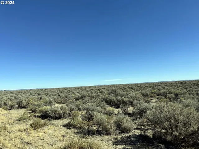 $36,000 | Fossil Lake Road, Unit TL 1400, Christmas Valley, OR 97641