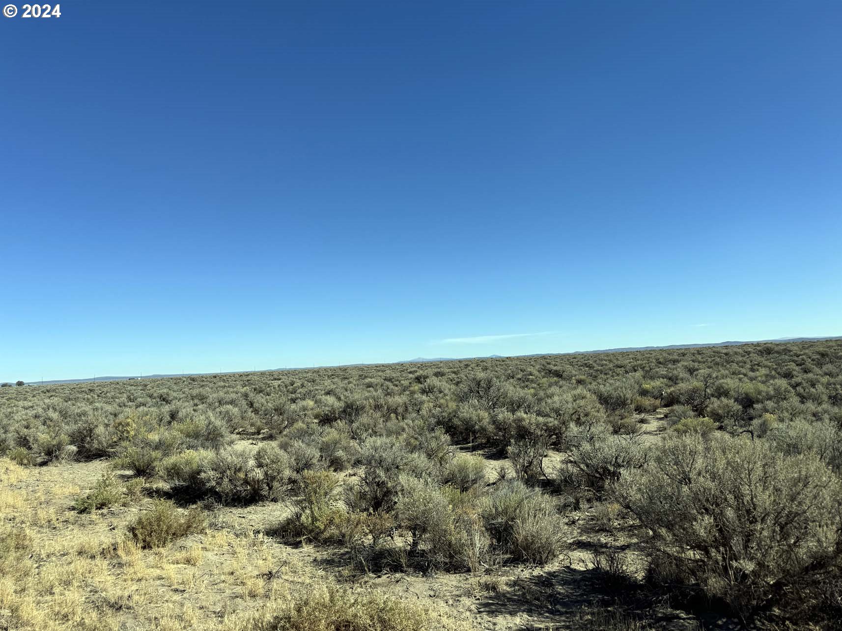 Fossil Lake Road, Unit TL 1400 Christmas Valley, OR 97641 - Photo 11 of 21