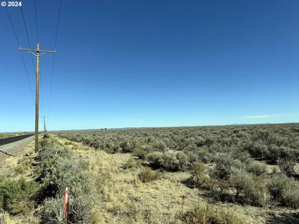 $36,000 | Fossil Lake Road, Unit TL 1400, Christmas Valley, OR 97641