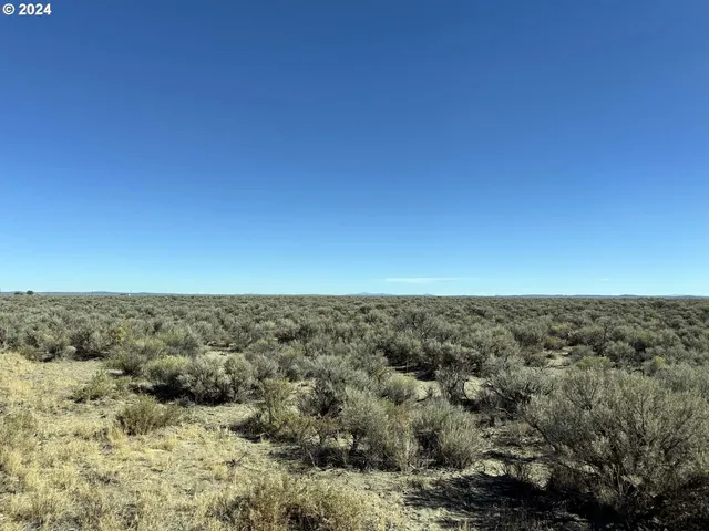 $36,000 | Fossil Lake Road, Unit TL 1400, Christmas Valley, OR 97641