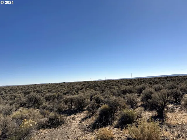 $36,000 | Fossil Lake Road, Unit TL 1400, Christmas Valley, OR 97641