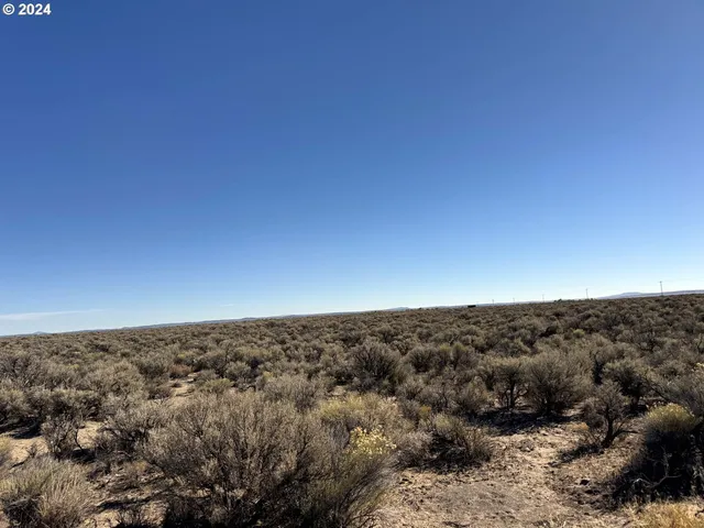 $36,000 | Fossil Lake Road, Unit TL 1400, Christmas Valley, OR 97641