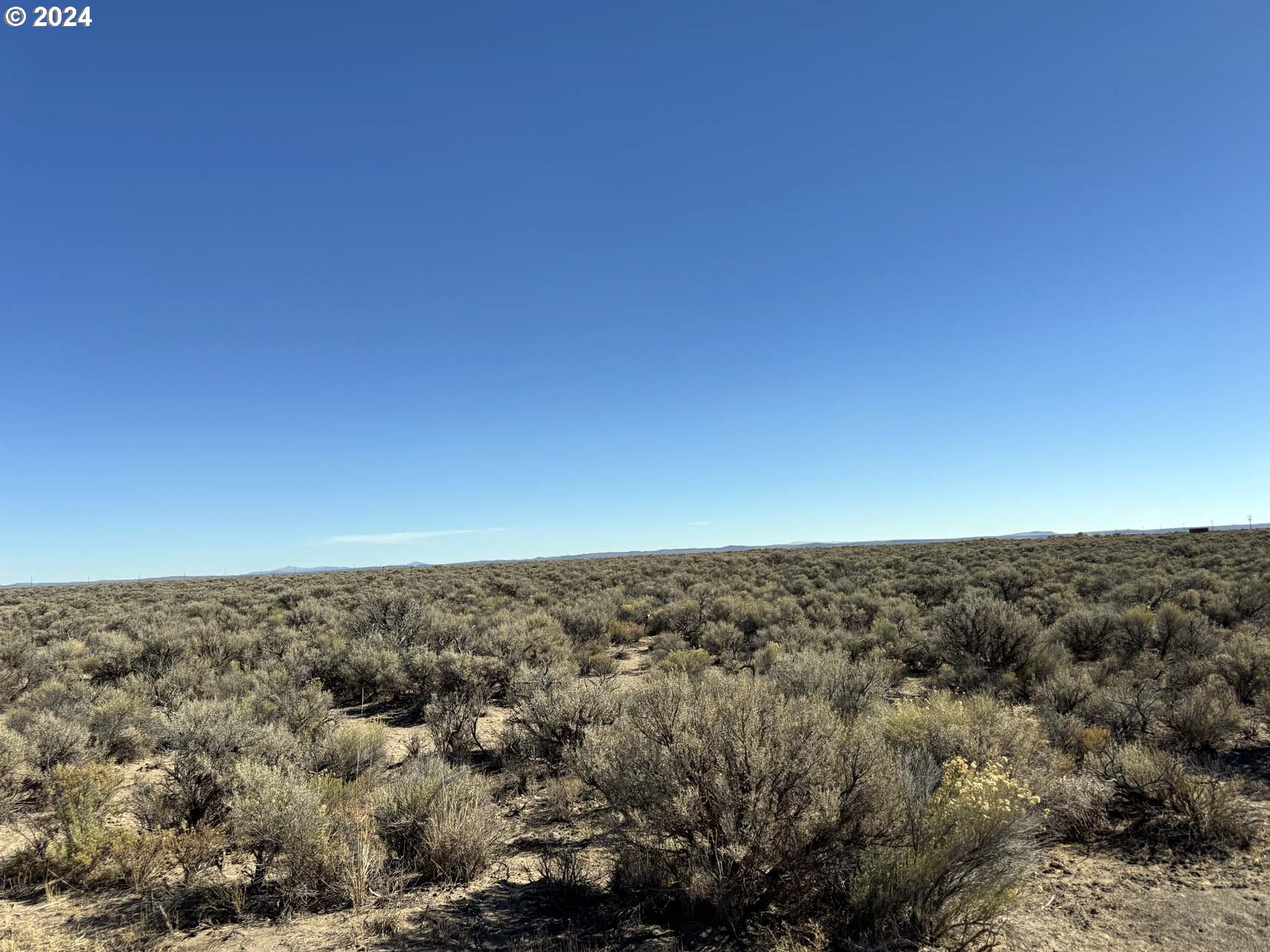 Fossil Lake Road, Unit TL 1400 Christmas Valley, OR 97641 - Photo 10 of 21