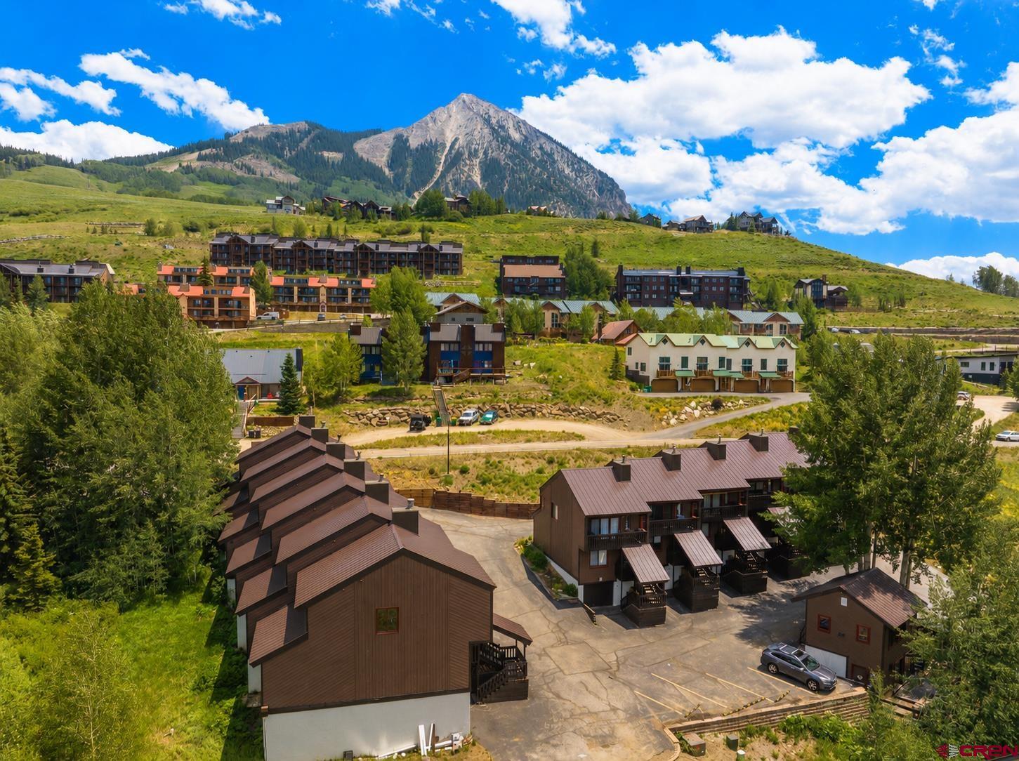 21 Castle Road, Unit 2 Crested Butte, CO 81225 - Photo 3 of 28