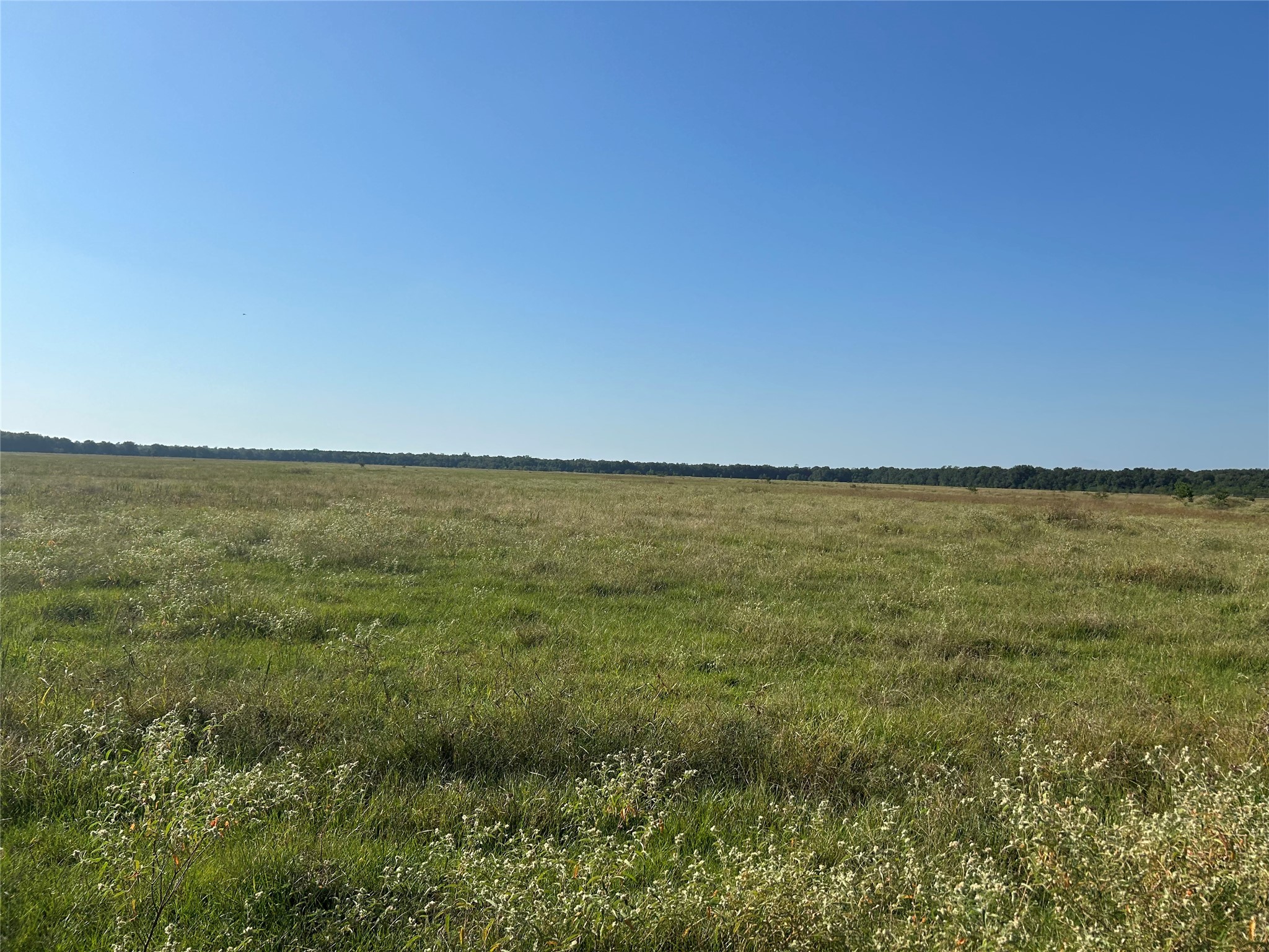 Lot 64 Minnie West Rd Drive Hull, TX 77564 - Photo 1 of 6