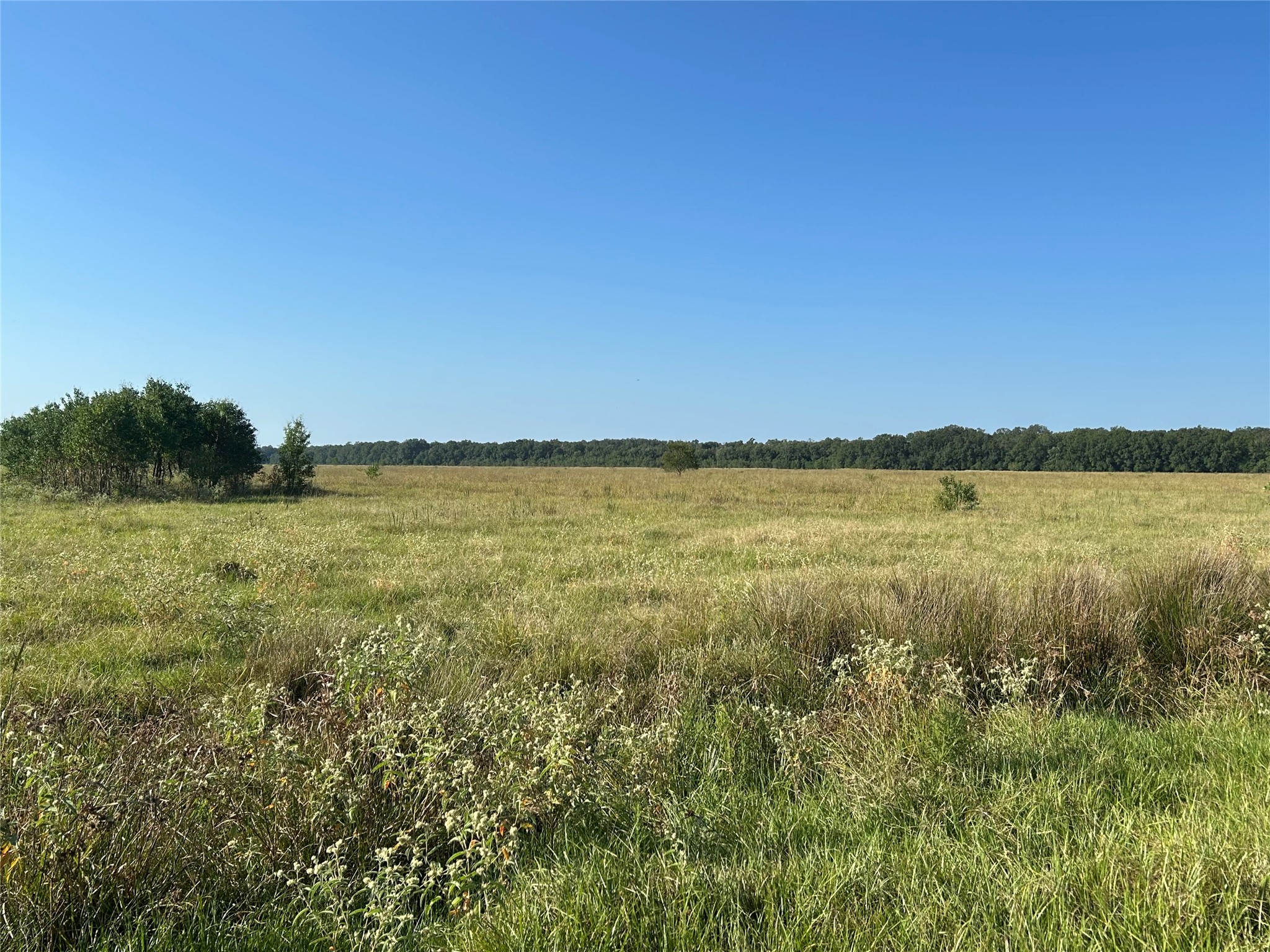 Lot 64 Minnie West Rd Drive Hull, TX 77564 - Photo 2 of 6