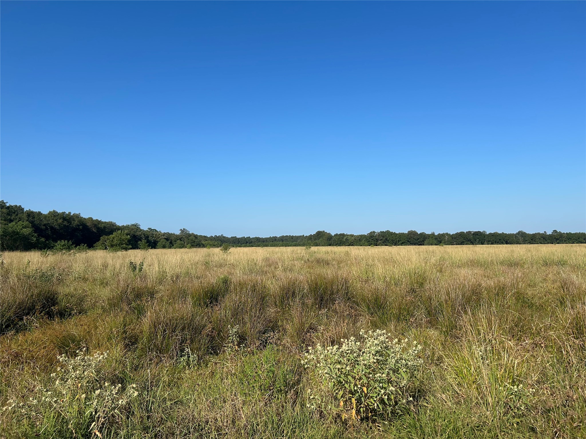 Lot 64 Minnie West Rd Drive Hull, TX 77564 - Photo 5 of 6