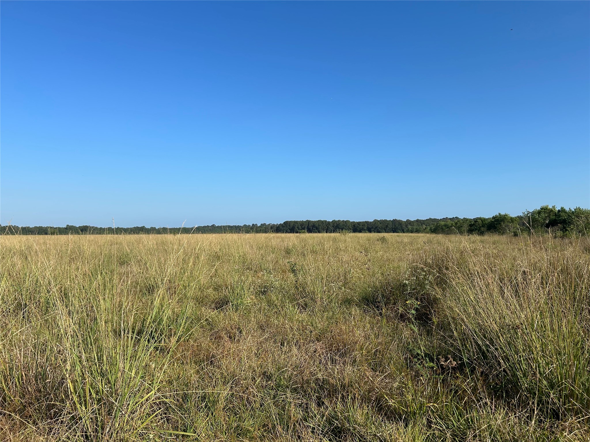 Lot 64 Minnie West Rd Drive Hull, TX 77564 - Photo 6 of 6