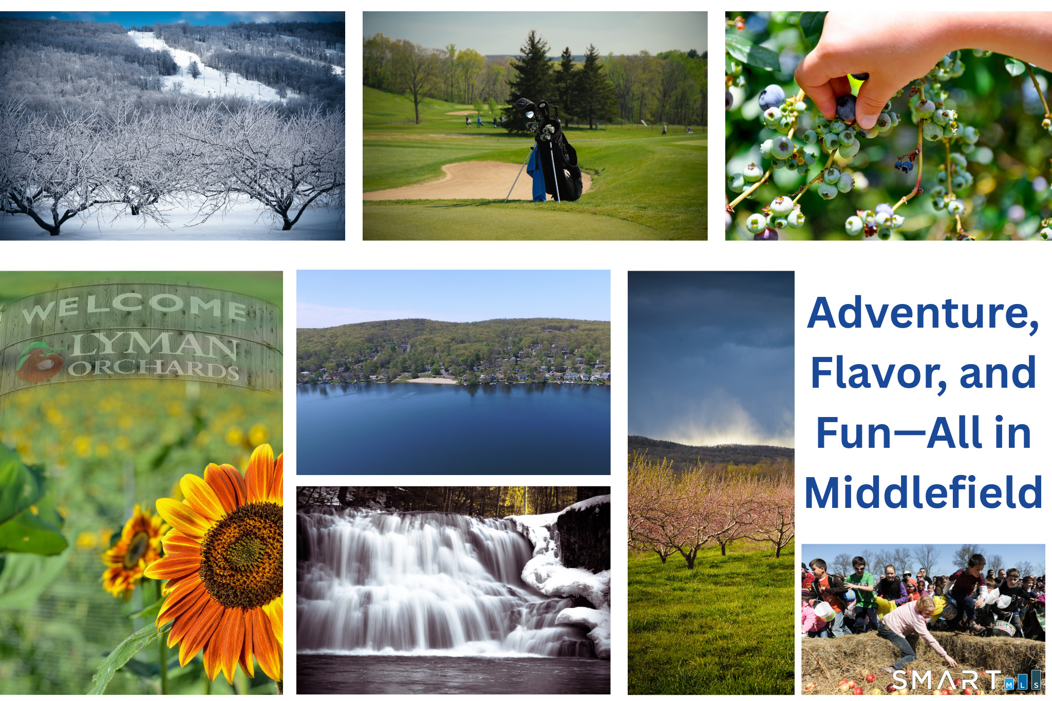 169 Cedar Street Middlefield, CT 06481 - Photo 2 of 11