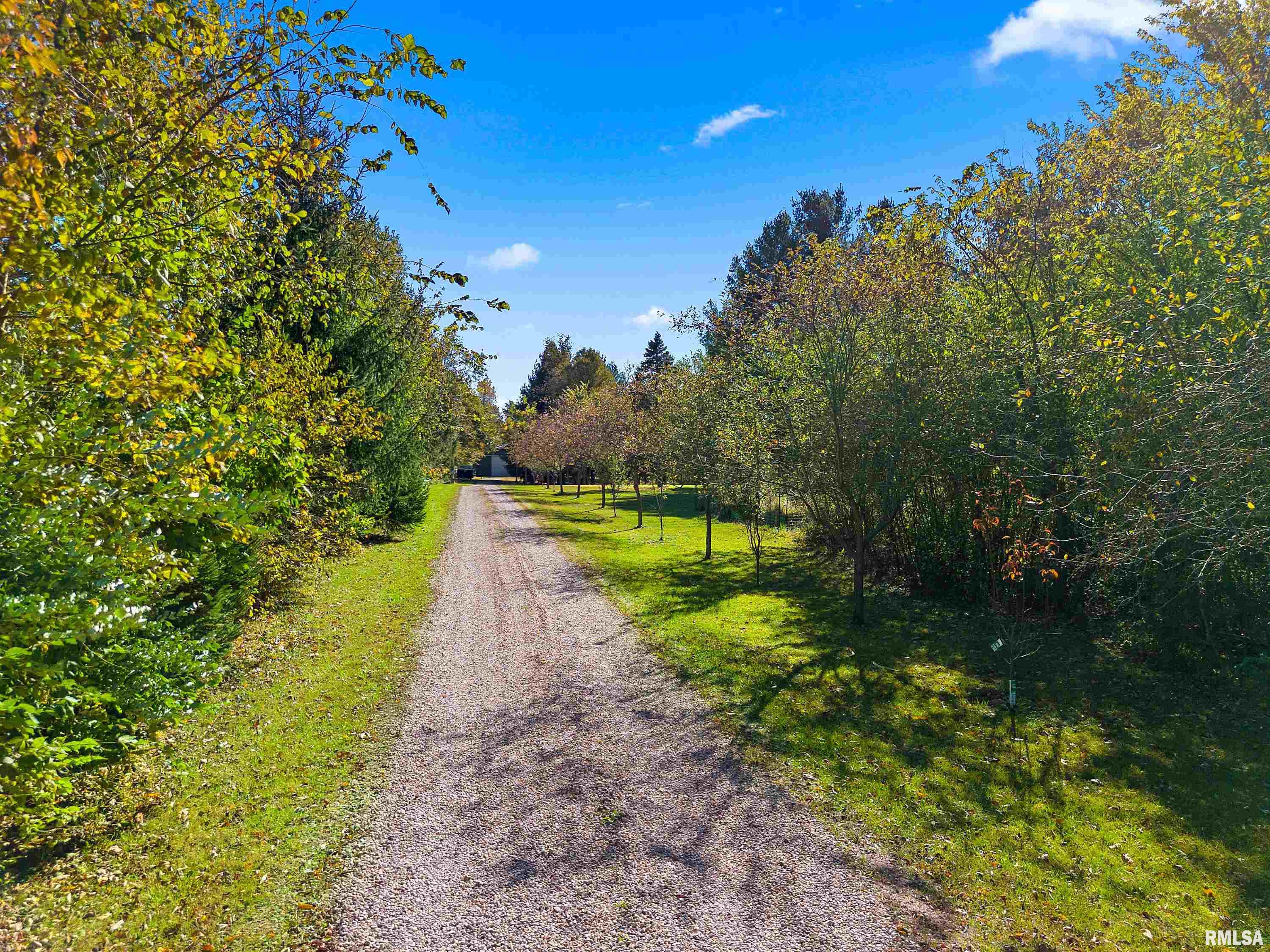 29353 North Bitner Road Glasford, IL 61533 - Photo 15 of 55