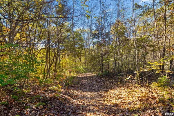 $567,000 | 29353 North Bitner Road, Glasford, IL 61533