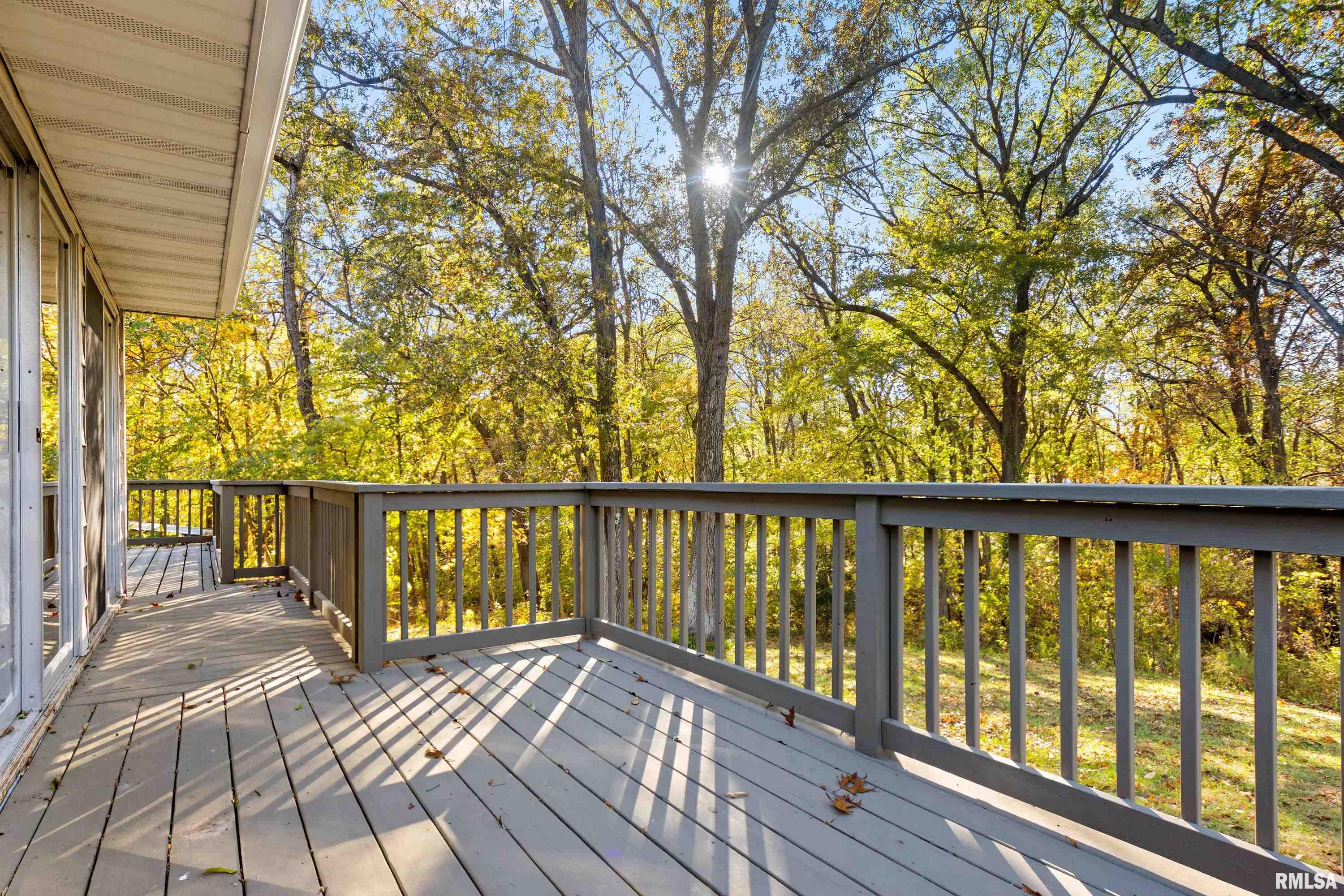 29353 North Bitner Road Glasford, IL 61533 - Photo 47 of 55