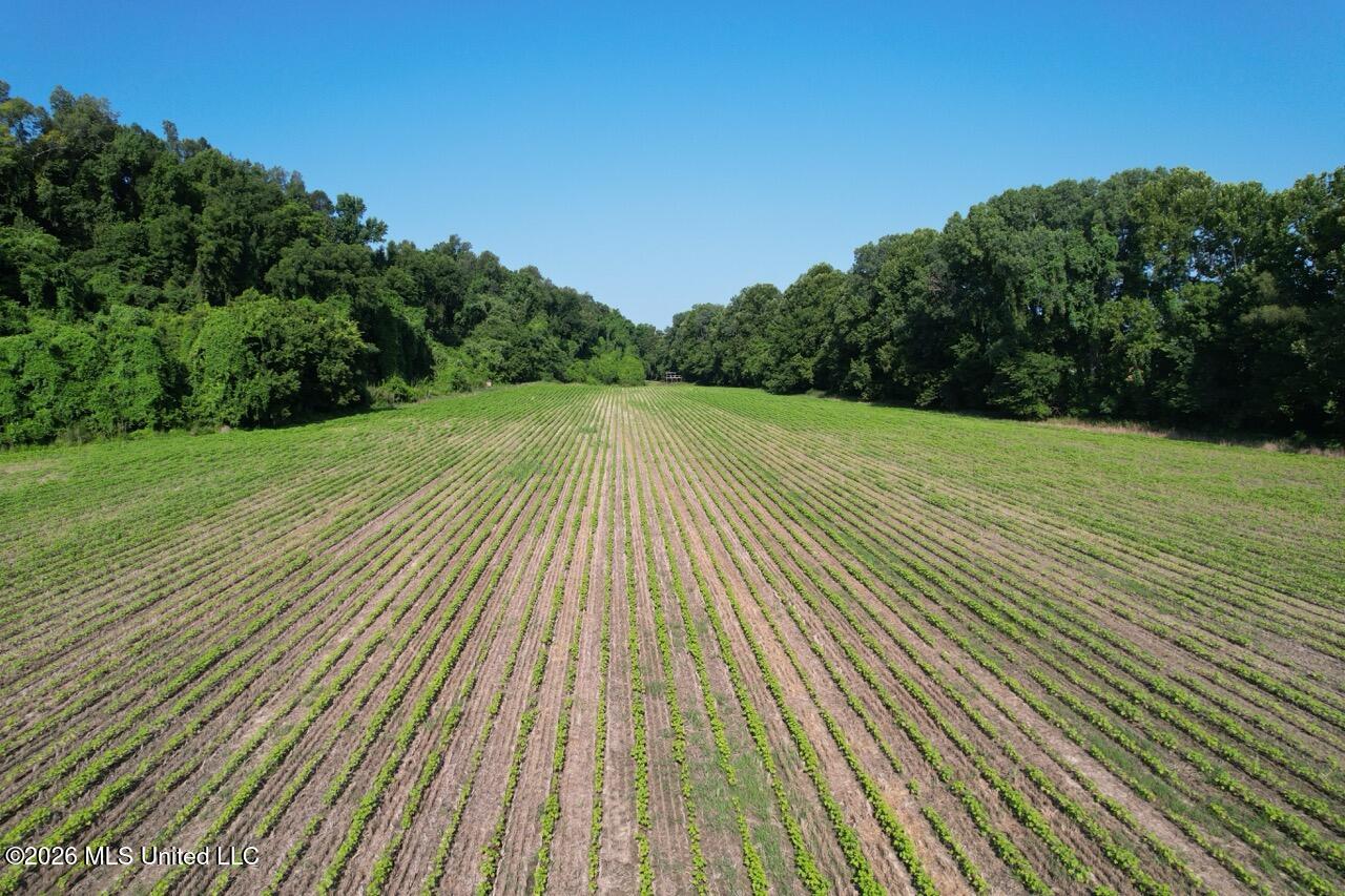 Annas Bottom Road Natchez, MS 39120 - Photo 3 of 48 DJI_0382 Large