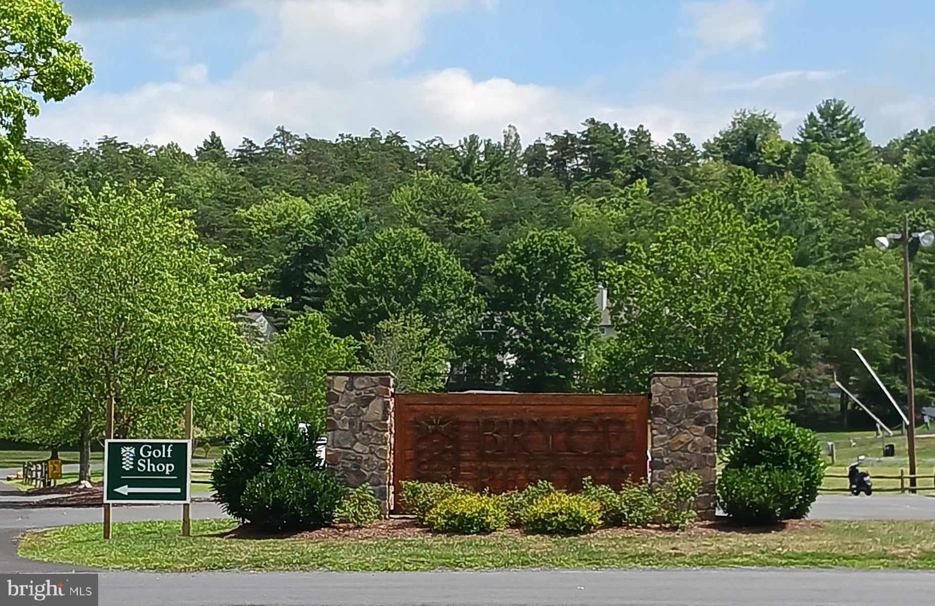 Lot 106 Pin Oak Rd Mount Mount Jackson, VA 22842 - Photo 1 of 17 a view of a plants and trees beside of it