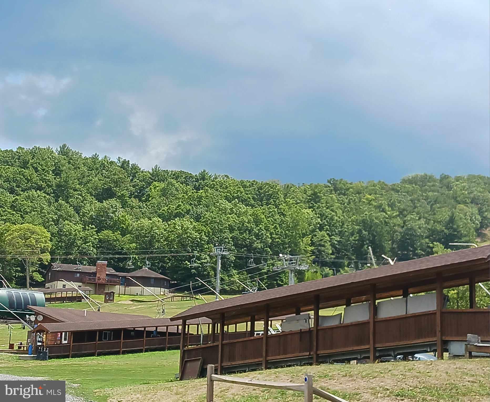 Lot 106 Pin Oak Rd Mount Mount Jackson, VA 22842 - Photo 5 of 17 a view of swimming pool with lawn chairs and plants