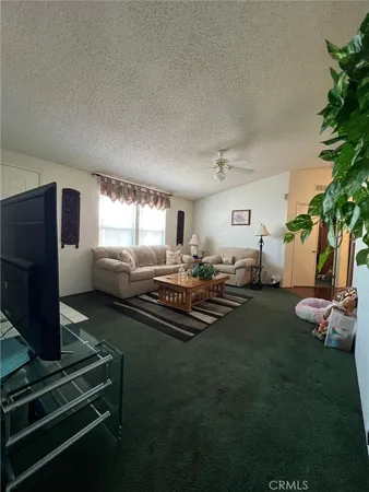 a living room with furniture windows and a potted plant