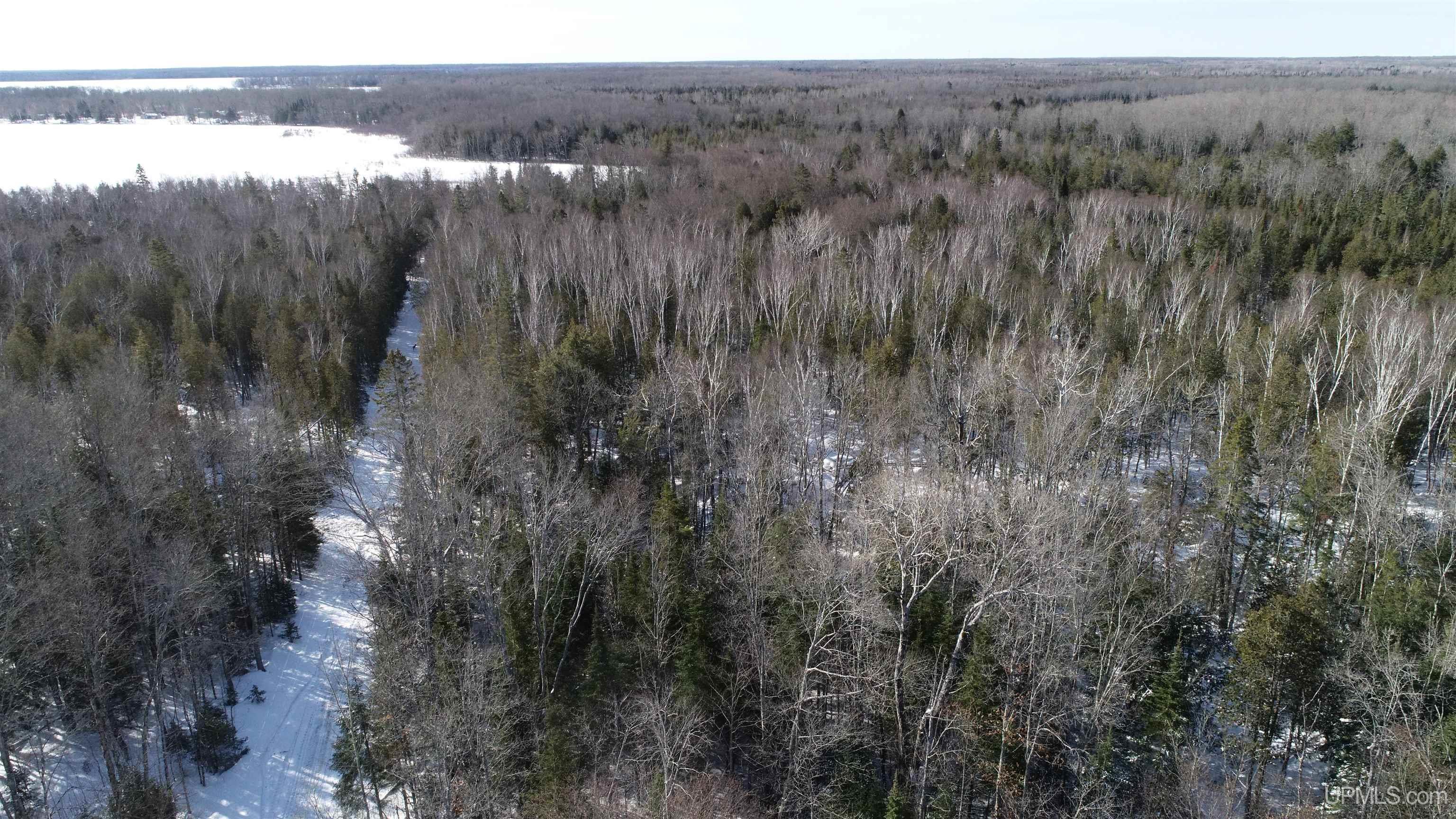 Tbd Tbd Long Point Road Curtis, MI 49820 - Photo 11 of 77