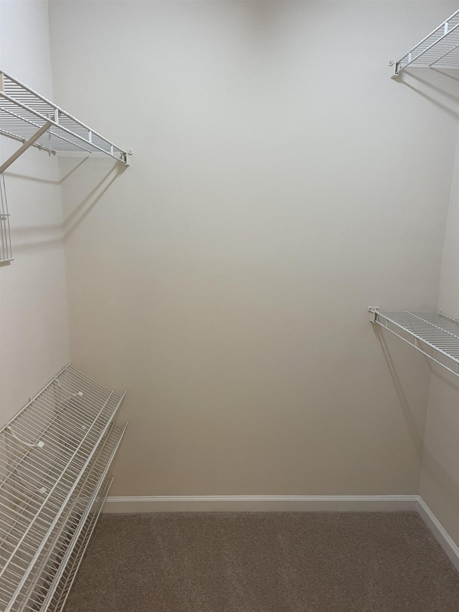 8513 Bright Loop Raleigh, NC 27613 - Photo 16 of 25 Large Walk-in Closet off Master Bath