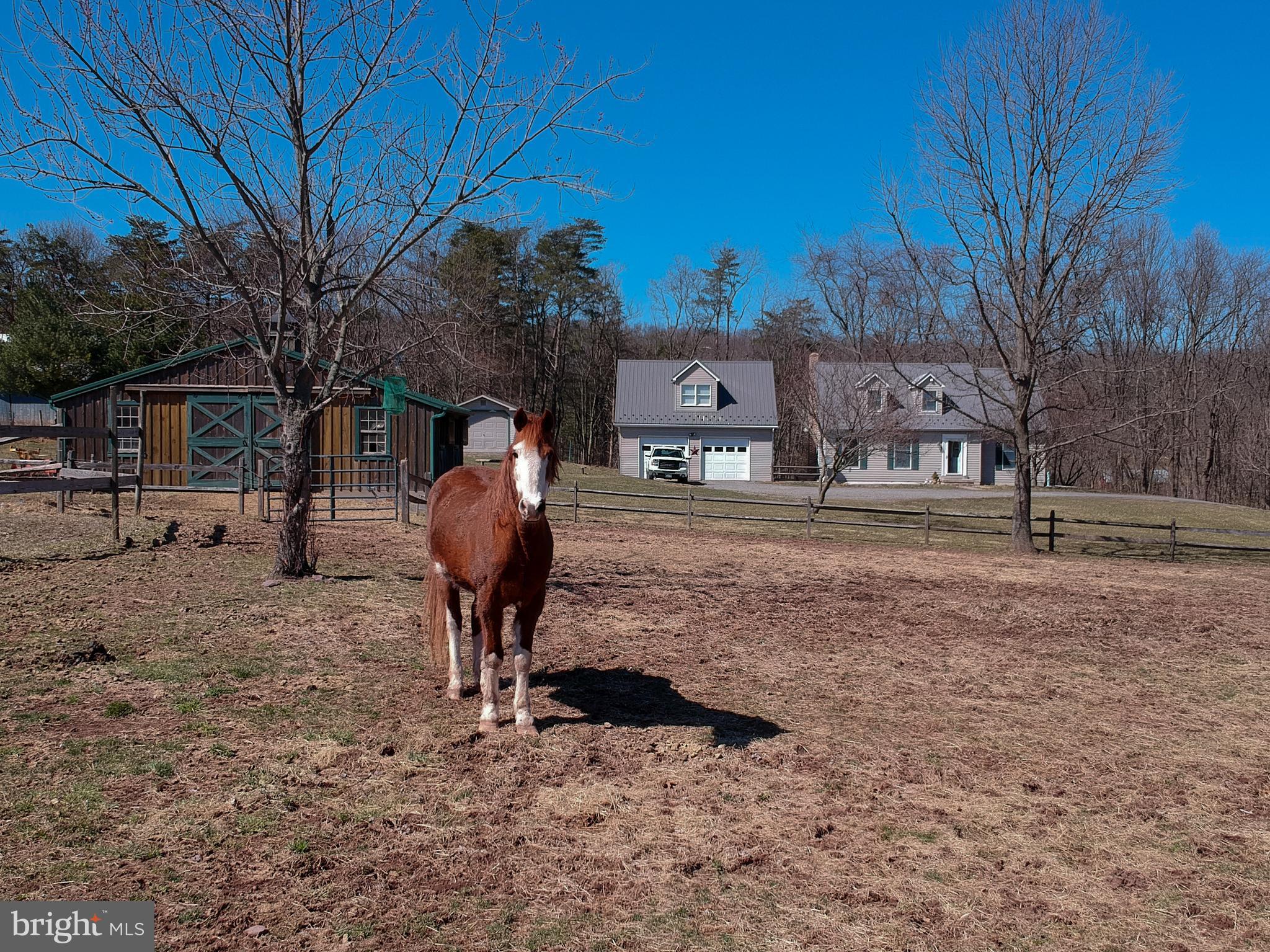 529 Miller Road Halifax, PA 17032 - Photo 16 of 111 #Horses #FarmForSale #Halifax