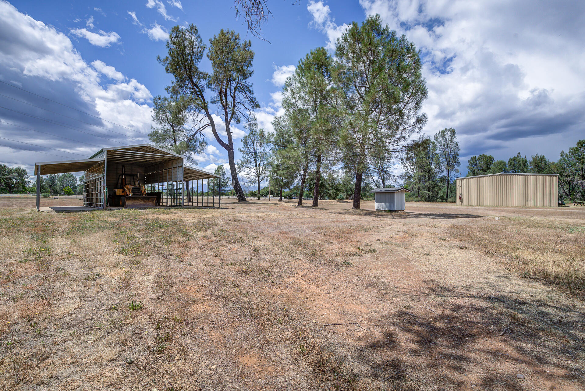 17536 Oly Way Anderson, CA 96007 - Photo 39 of 51 a view of a yard with a tree