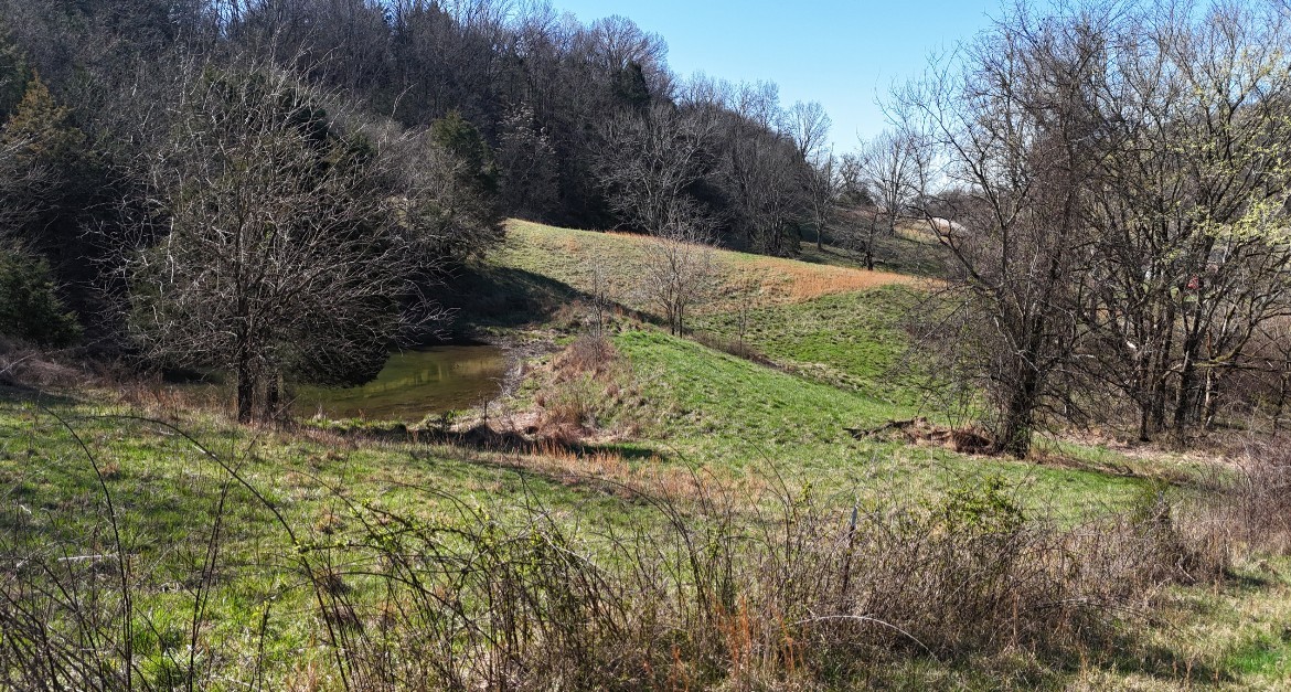 0 Browning Branch Road Bethpage, TN 37022 - Photo 11 of 16 a view of a yard with a tree
