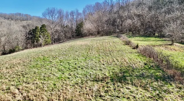 a view of a yard with trees