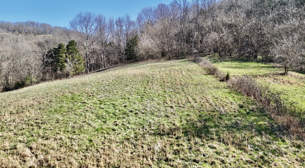0 Browning Branch Road Bethpage, TN 37022 - Photo 12 of 16 a view of a yard with large trees
