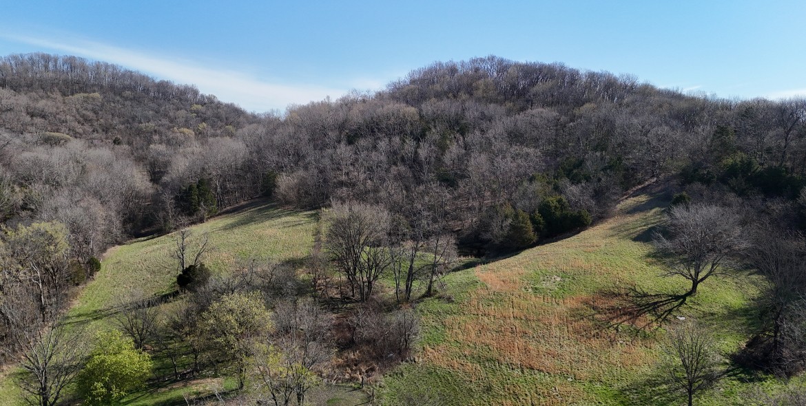 0 Browning Branch Road Bethpage, TN 37022 - Photo 13 of 16