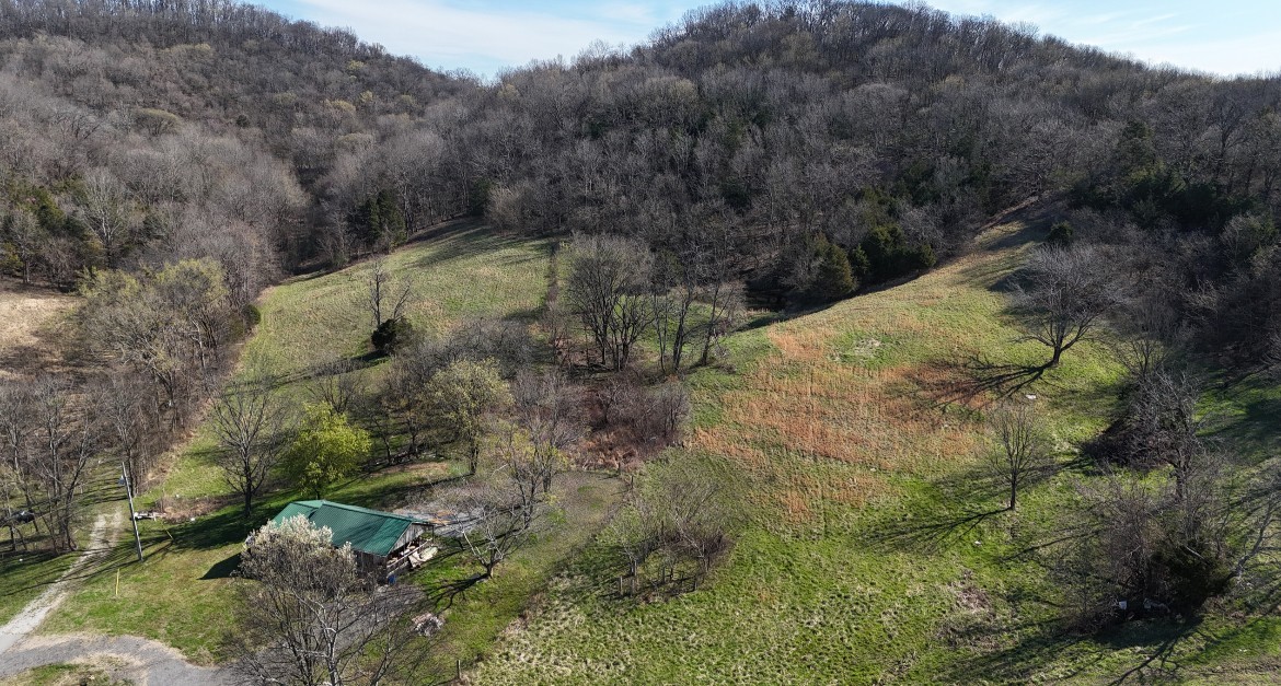 0 Browning Branch Road Bethpage, TN 37022 - Photo 14 of 16 a view of a yard with trees
