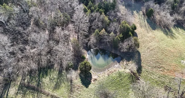 $159,900 | 0 Browning Branch Road, Bethpage, TN 37022