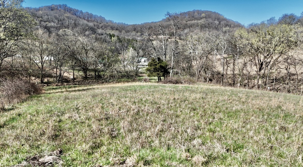 0 Browning Branch Road Bethpage, TN 37022 - Photo 4 of 16 a view of a yard with trees