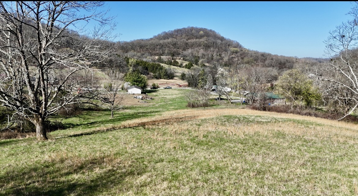0 Browning Branch Road Bethpage, TN 37022 - Photo 5 of 16 a view of a yard with mountain