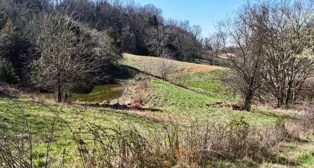 a view of a field with mountains in the background