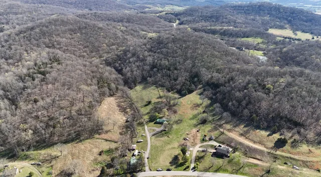 a view of street with tall trees
